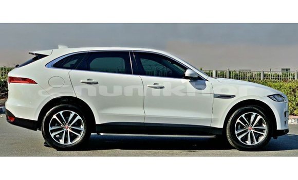 Buy Import Jaguar F-Pace White Car in Import - Dubai in Bumthang Buy Import Jaguar F-Pace White Car in Import - Dubai in Bumthang