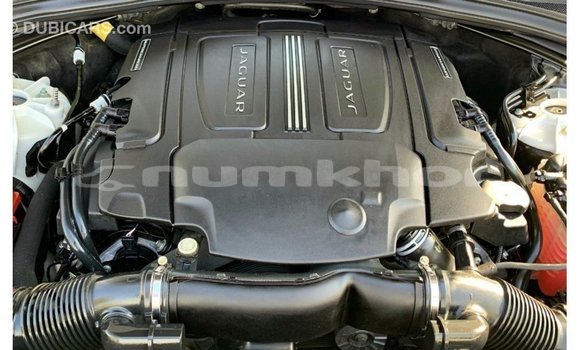 Buy Import Jaguar F-Pace White Car in Import - Dubai in Bumthang Buy Import Jaguar F-Pace White Car in Import - Dubai in Bumthang