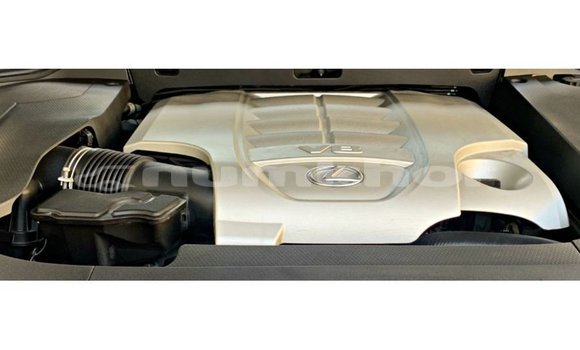 Buy Import Lexus LX Other Car in Import - Dubai in Bumthang Buy Import Lexus LX Other Car in Import - Dubai in Bumthang