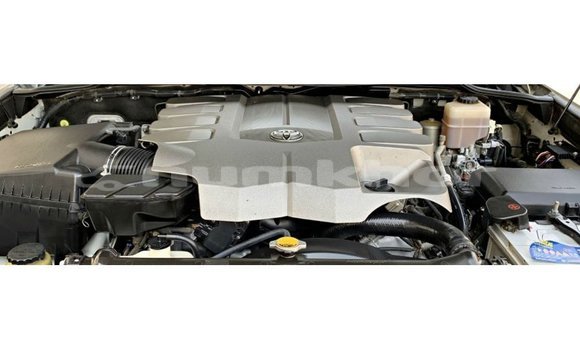 Buy Import Toyota Land Cruiser White Car in Import - Dubai in Bumthang Buy Import Toyota Land Cruiser White Car in Import - Dubai in Bumthang