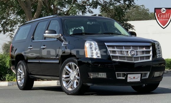 Buy Import Cadillac Escalade Black Car in Import - Dubai in Bumthang