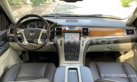 Buy Import Cadillac Escalade Black Car in Import - Dubai in Bumthang Buy Import Cadillac Escalade Black Car in Import - Dubai in Bumthang