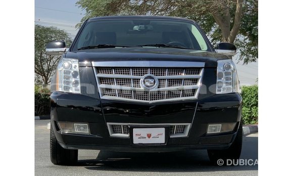 Buy Import Cadillac Escalade Black Car in Import - Dubai in Bumthang Buy Import Cadillac Escalade Black Car in Import - Dubai in Bumthang