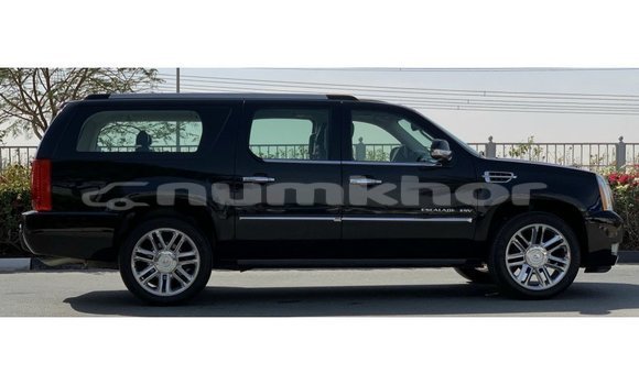 Buy Import Cadillac Escalade Black Car in Import - Dubai in Bumthang Buy Import Cadillac Escalade Black Car in Import - Dubai in Bumthang