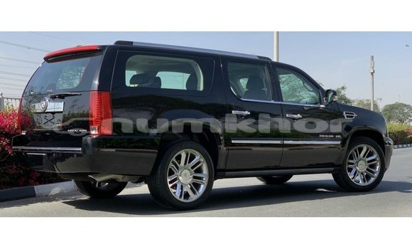 Buy Import Cadillac Escalade Black Car in Import - Dubai in Bumthang Buy Import Cadillac Escalade Black Car in Import - Dubai in Bumthang
