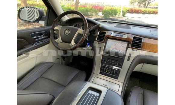 Buy Import Cadillac Escalade Black Car in Import - Dubai in Bumthang Buy Import Cadillac Escalade Black Car in Import - Dubai in Bumthang