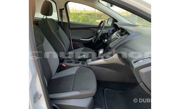 Buy Import Ford Focus White Car in Import - Dubai in Bumthang Buy Import Ford Focus White Car in Import - Dubai in Bumthang
