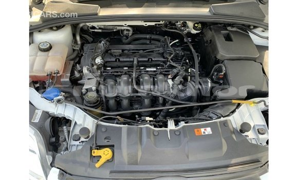 Buy Import Ford Focus White Car in Import - Dubai in Bumthang Buy Import Ford Focus White Car in Import - Dubai in Bumthang