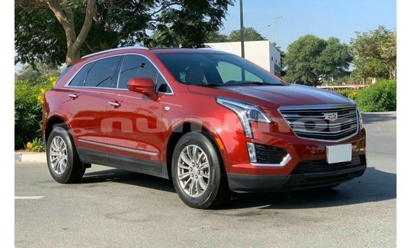 Buy Import Cadillac XT5 Red Car in Import - Dubai in Bumthang