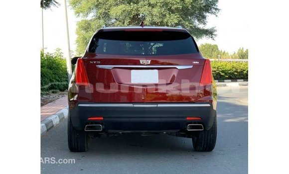 Buy Import Cadillac XT5 Red Car in Import - Dubai in Bumthang Buy Import Cadillac XT5 Red Car in Import - Dubai in Bumthang