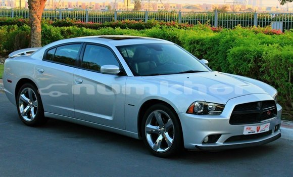 Buy Import Dodge Charger Other Car in Import - Dubai in Bumthang
