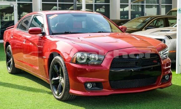 Buy Import Dodge Charger Red Car in Import - Dubai in Bumthang