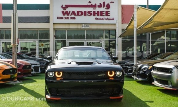 Buy Import Dodge Challenger Black Car in Import - Dubai in Bumthang Buy Import Dodge Challenger Black Car in Import - Dubai in Bumthang