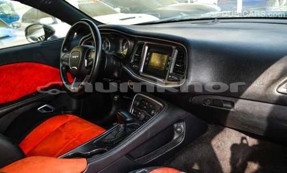 Buy Import Dodge Challenger Black Car in Import - Dubai in Bumthang Buy Import Dodge Challenger Black Car in Import - Dubai in Bumthang