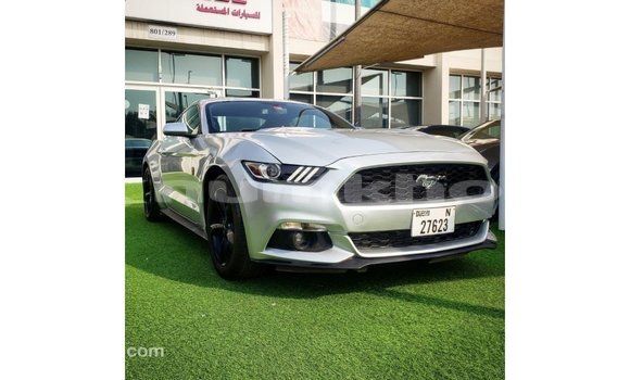 Buy Import Ford Mustang Other Car in Import - Dubai in Bumthang Buy Import Ford Mustang Other Car in Import - Dubai in Bumthang