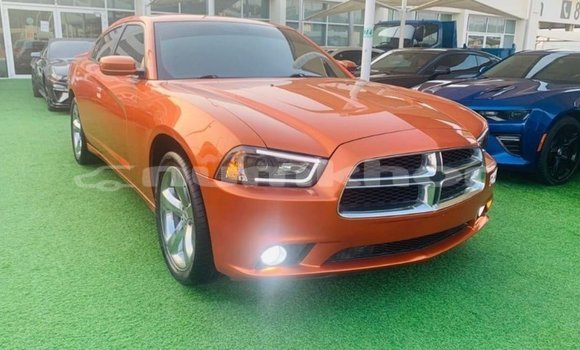 Buy Import Dodge Charger Other Car in Import - Dubai in Bumthang