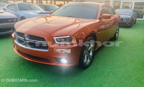 Buy Import Dodge Charger Other Car in Import - Dubai in Bumthang Buy Import Dodge Charger Other Car in Import - Dubai in Bumthang