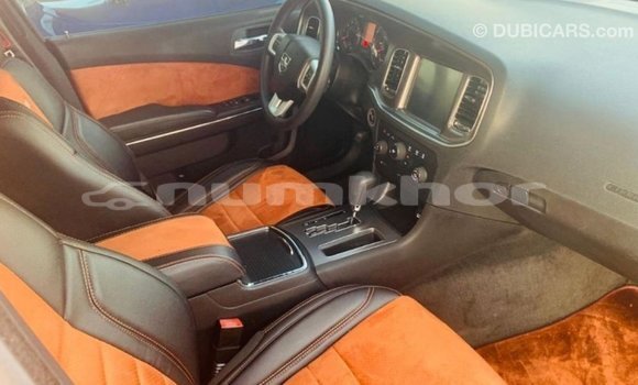 Buy Import Dodge Charger Other Car in Import - Dubai in Bumthang Buy Import Dodge Charger Other Car in Import - Dubai in Bumthang
