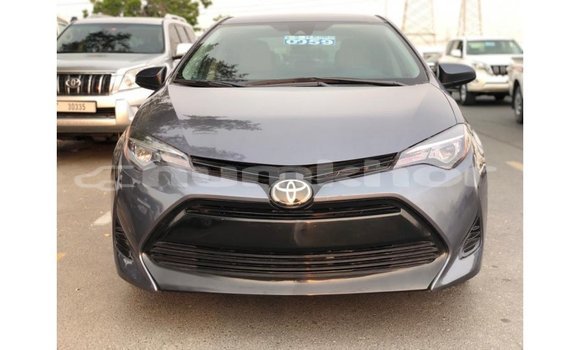 Buy Import Toyota Corolla Other Car in Import - Dubai in Bumthang Buy Import Toyota Corolla Other Car in Import - Dubai in Bumthang