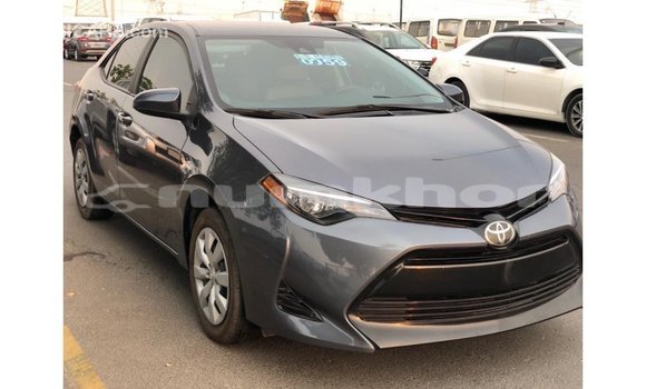 Buy Import Toyota Corolla Other Car in Import - Dubai in Bumthang Buy Import Toyota Corolla Other Car in Import - Dubai in Bumthang