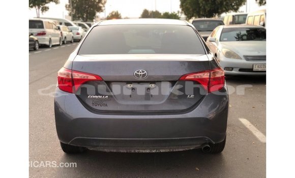 Buy Import Toyota Corolla Other Car in Import - Dubai in Bumthang Buy Import Toyota Corolla Other Car in Import - Dubai in Bumthang