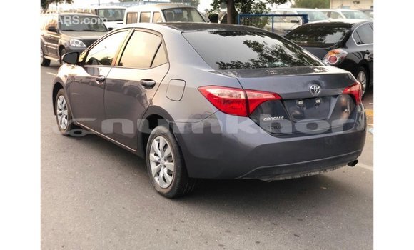 Buy Import Toyota Corolla Other Car in Import - Dubai in Bumthang Buy Import Toyota Corolla Other Car in Import - Dubai in Bumthang
