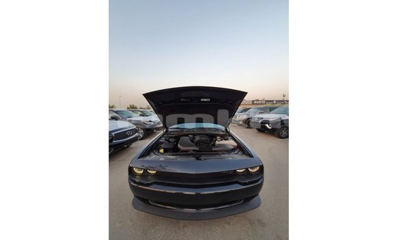 Buy Import Dodge Challenger Black Car in Import - Dubai in Bumthang Buy Import Dodge Challenger Black Car in Import - Dubai in Bumthang
