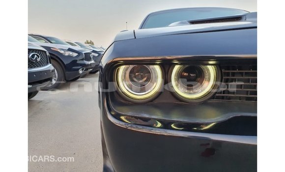 Buy Import Dodge Challenger Black Car in Import - Dubai in Bumthang Buy Import Dodge Challenger Black Car in Import - Dubai in Bumthang