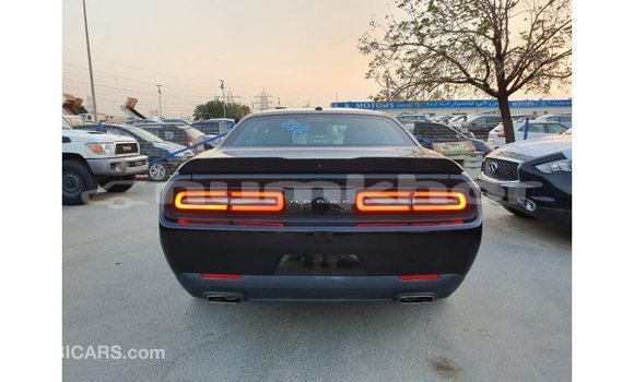 Buy Import Dodge Challenger Black Car in Import - Dubai in Bumthang Buy Import Dodge Challenger Black Car in Import - Dubai in Bumthang