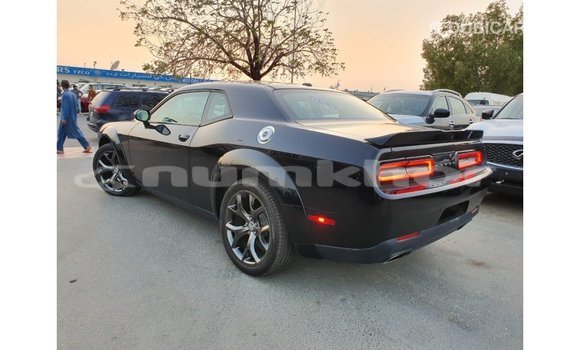 Buy Import Dodge Challenger Black Car in Import - Dubai in Bumthang Buy Import Dodge Challenger Black Car in Import - Dubai in Bumthang