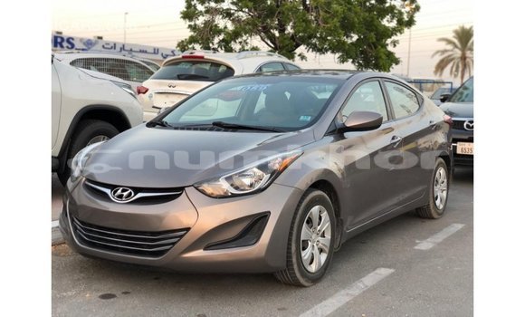 Buy Import Hyundai Elantra Brown Car in Import - Dubai in Bumthang Buy Import Hyundai Elantra Brown Car in Import - Dubai in Bumthang