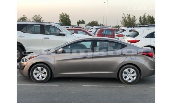 Buy Import Hyundai Elantra Brown Car in Import - Dubai in Bumthang Buy Import Hyundai Elantra Brown Car in Import - Dubai in Bumthang
