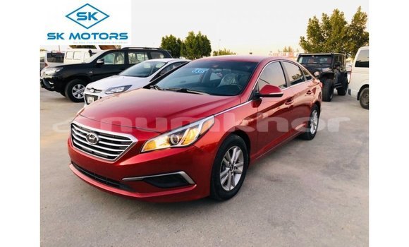 Buy Import Hyundai Sonata Red Car in Import - Dubai in Bumthang Buy Import Hyundai Sonata Red Car in Import - Dubai in Bumthang