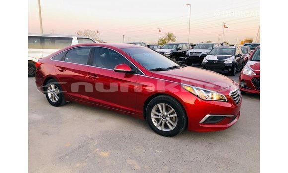 Buy Import Hyundai Sonata Red Car in Import - Dubai in Bumthang Buy Import Hyundai Sonata Red Car in Import - Dubai in Bumthang