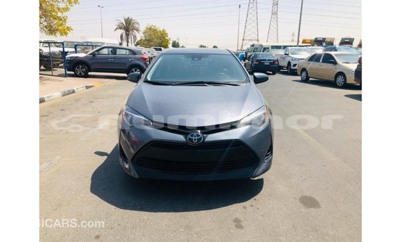 Buy Import Toyota Corolla Other Car in Import - Dubai in Bumthang Buy Import Toyota Corolla Other Car in Import - Dubai in Bumthang