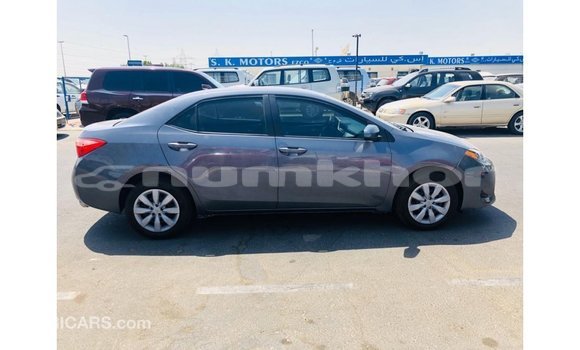 Buy Import Toyota Corolla Other Car in Import - Dubai in Bumthang Buy Import Toyota Corolla Other Car in Import - Dubai in Bumthang
