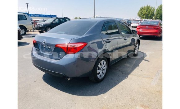 Buy Import Toyota Corolla Other Car in Import - Dubai in Bumthang Buy Import Toyota Corolla Other Car in Import - Dubai in Bumthang