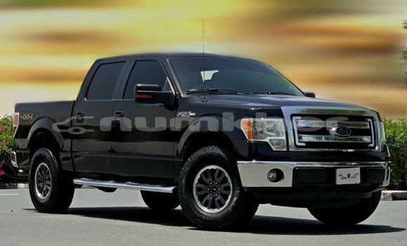 Buy Import Ford Club Wagon Brown Car in Import - Dubai in Bumthang Buy Import Ford Club Wagon Brown Car in Import - Dubai in Bumthang