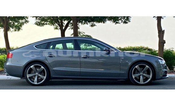 Buy Import Audi 100 Other Car in Import - Dubai in Bumthang Buy Import Audi 100 Other Car in Import - Dubai in Bumthang