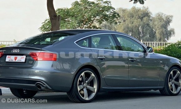 Buy Import Audi 100 Other Car in Import - Dubai in Bumthang Buy Import Audi 100 Other Car in Import - Dubai in Bumthang