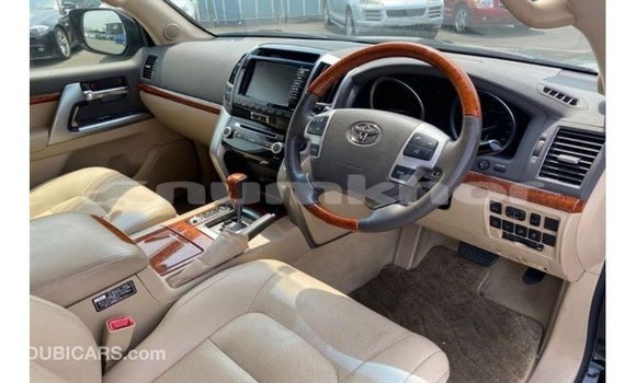 Buy Import Toyota Land Cruiser Black Car in Import - Dubai in Bumthang Buy Import Toyota Land Cruiser Black Car in Import - Dubai in Bumthang