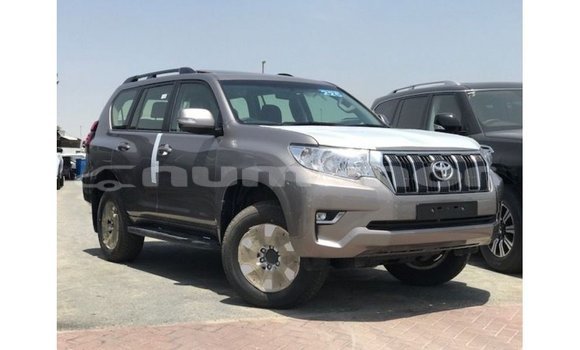 Buy Import Toyota Prado Brown Car in Import - Dubai in Bumthang Buy Import Toyota Prado Brown Car in Import - Dubai in Bumthang