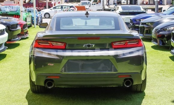 Buy Import Chevrolet Camaro Other Car in Import - Dubai in Bumthang Buy Import Chevrolet Camaro Other Car in Import - Dubai in Bumthang