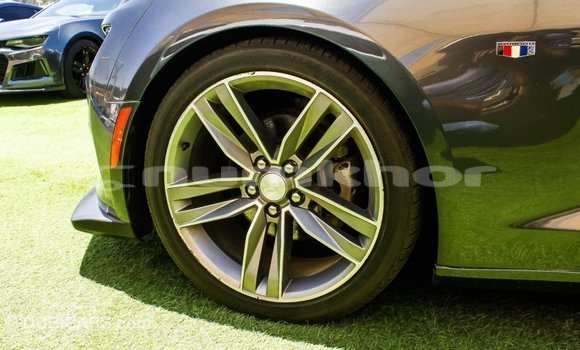 Buy Import Chevrolet Camaro Other Car in Import - Dubai in Bumthang Buy Import Chevrolet Camaro Other Car in Import - Dubai in Bumthang