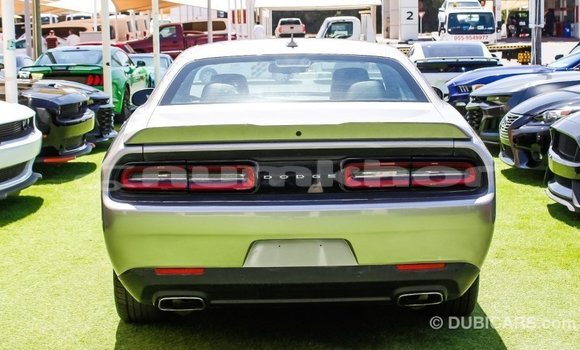Buy Import Dodge Challenger Other Car in Import - Dubai in Bumthang Buy Import Dodge Challenger Other Car in Import - Dubai in Bumthang