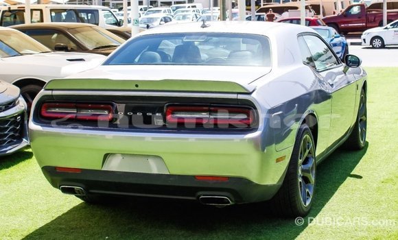 Buy Import Dodge Challenger Other Car in Import - Dubai in Bumthang Buy Import Dodge Challenger Other Car in Import - Dubai in Bumthang