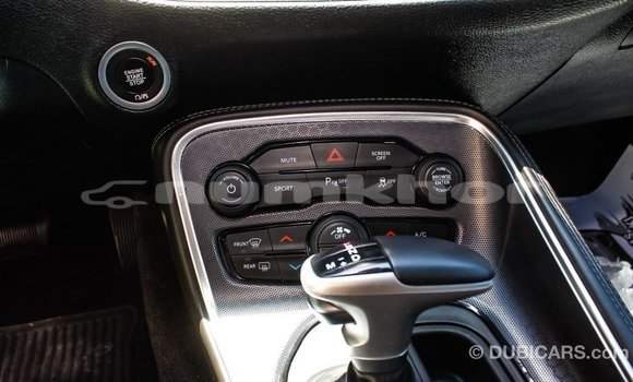 Buy Import Dodge Challenger Other Car in Import - Dubai in Bumthang Buy Import Dodge Challenger Other Car in Import - Dubai in Bumthang