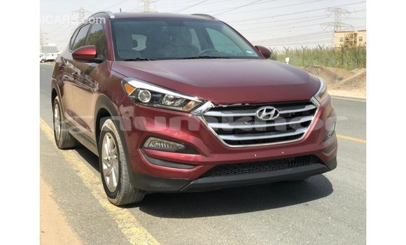 Buy Import Hyundai Tucson Red Car in Import - Dubai in Bumthang Buy Import Hyundai Tucson Red Car in Import - Dubai in Bumthang