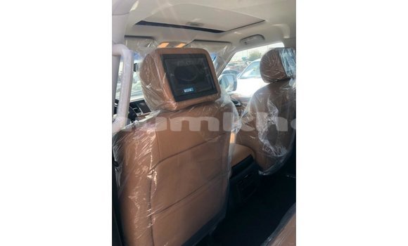 Buy Import Nissan Patrol White Car in Import - Dubai in Bumthang Buy Import Nissan Patrol White Car in Import - Dubai in Bumthang