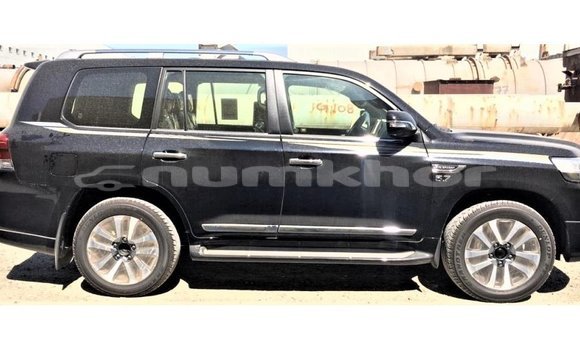 Buy Import Toyota Land Cruiser Black Car in Import - Dubai in Bumthang Buy Import Toyota Land Cruiser Black Car in Import - Dubai in Bumthang